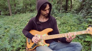Armin Metz Swifty Solo Bass Basstheworldcom