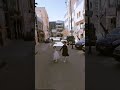 كان حلمي وردة ورداتي رزان وساره