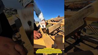 Traditional Roof Frame Assembly Technique | Manual Timber Joint Installation.