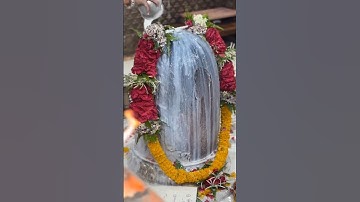 Mahadev status ❣️ bholenath status video 💫 shiv status #shorts