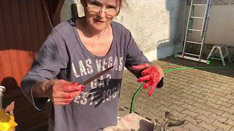 Co jsou rybí přísady a koření?