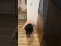 ぴぴ体操第一