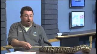 Venomous Snake Endangered In Ohio