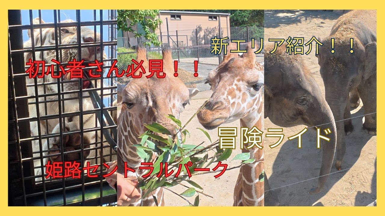 【姫路セントラルパーク】【冒険ライド】完全攻略版！これを見たら冒険ライドの全てが分かる！！初心者さん必見！！！新エリア紹介！