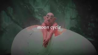 moon cycle - melanie Martinez // speed up