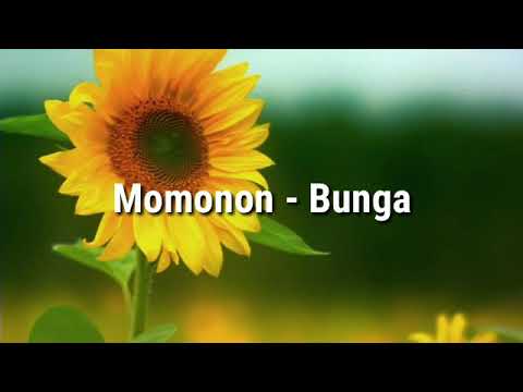 Momonon - Bunga // Teras Sore