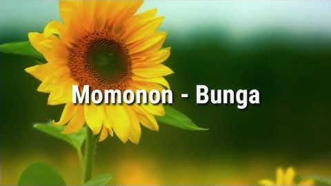 Momonon - Bunga (Lirik)