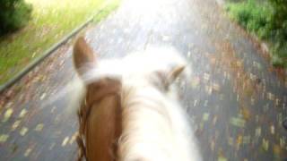 Download Lagu 03.10.2008 MP3