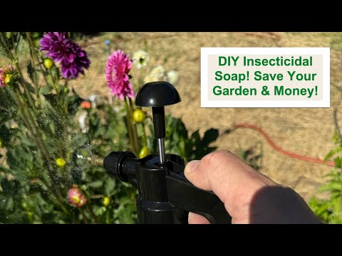 DIY Insecticidal Soap: Save Your Garden & Money with This Easy Recipe! hqdefault