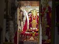 Aashapuri Mataji Song #nadol #ashapuri #matajistatus