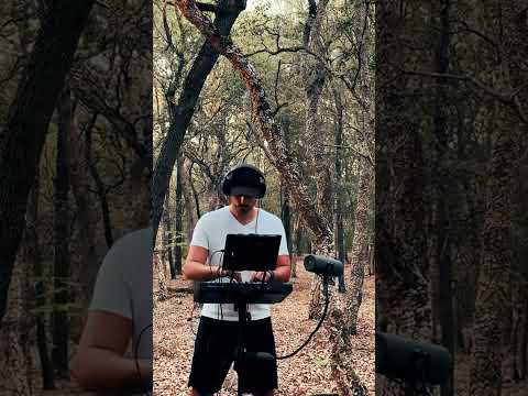 Forest Beats