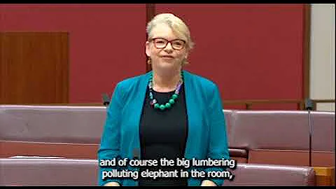 Senator Janet Rice talks to Labor's Climate Bill 0...