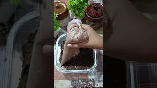 Easiest*Chocolate cake recipe | 4 minutes chocolate cake shorts youtubeshorts  ytshorts recipe