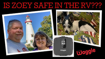 Waggle RV Pet Safety Monitor Review: This Could Save Your Pets LIFE!