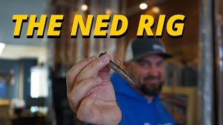 The Ned Rig: One of the Top Winter Baits