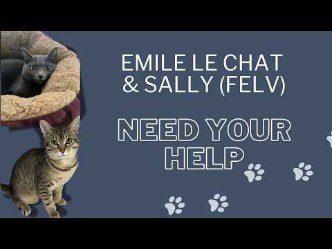 Emile Le Chat & Sally