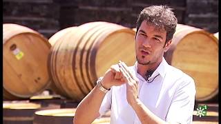 Tierra y Mar | Tonelería y bayas de goji