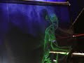 2023-10-30 - The Haunted Piano Experience