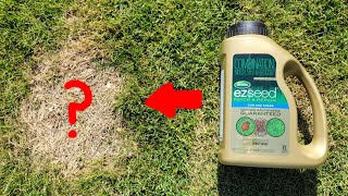 Scotts EZ Seed Patch And Repair – Application & Results