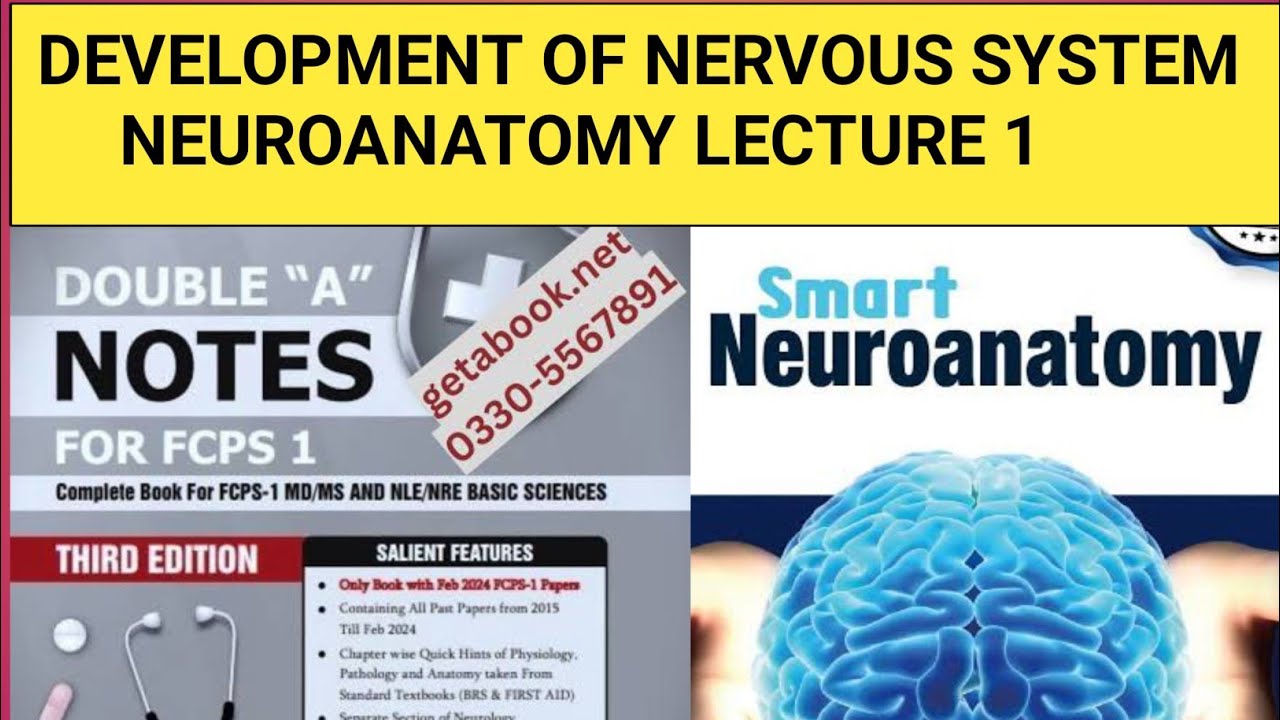 Neuro Study Development of Nervous System |Neuroanatomy lecture 1 |Fcps part 1 ...