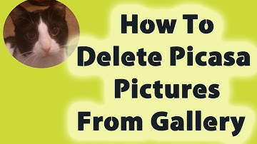 How to Delete Picasa Pictures From Gallery