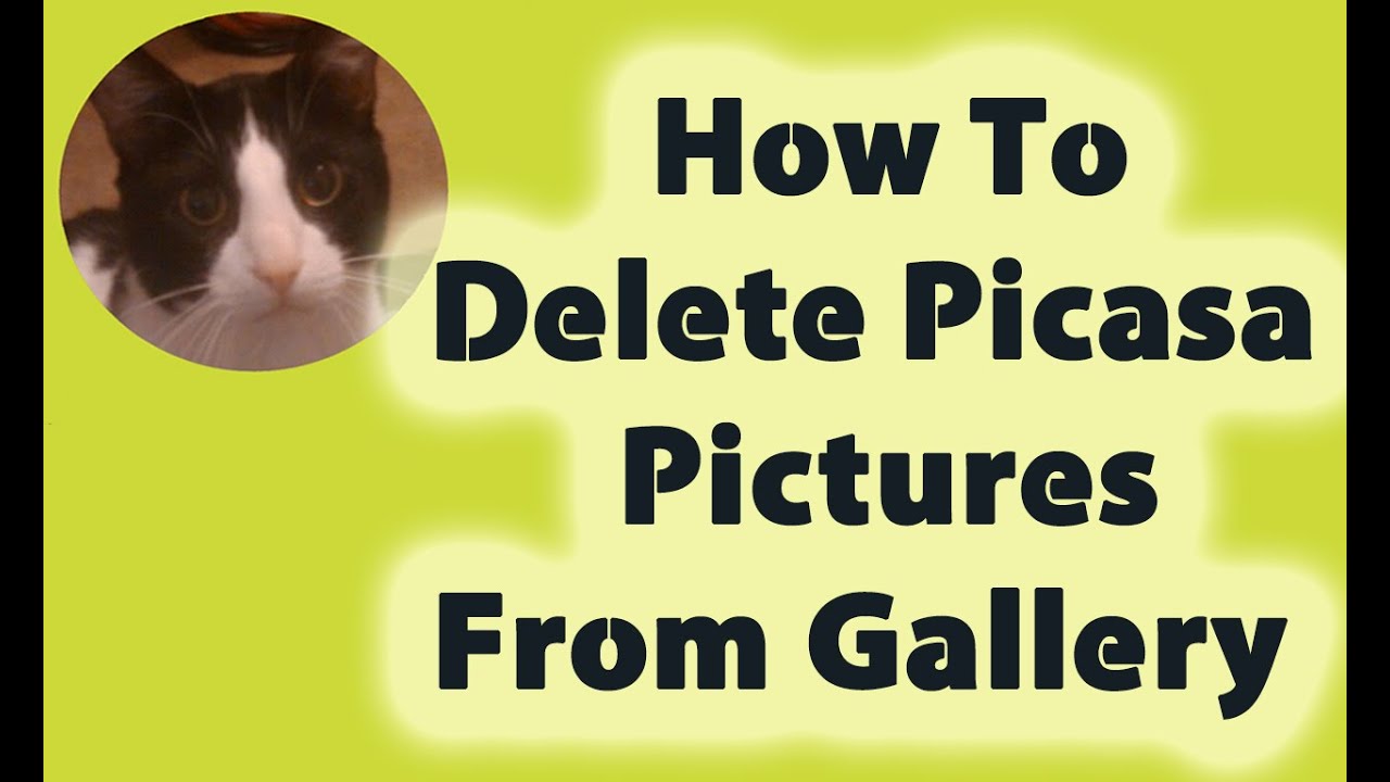 How To Delete Picasa Pictures From Gallery