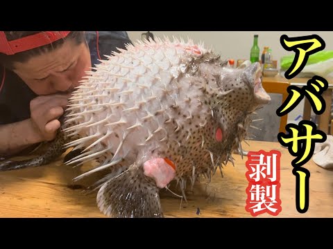 前編】海の怒りん坊の剥製を作ったら、、、大苦戦！ - YouTube