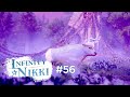 Infinity Nikki #56 | Stylisten haften für ihre Rinder
