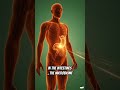 What Happens Inside Your Body After Drinking Orange Juice.