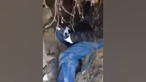 Watch as the Black n Blue Mining team mines for smoky quartz on Mt. White in Colorado.