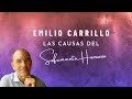 Emilio Carrillo. Junio de 2019. Las causas del sufrimiento humano: cuáles son y como eliminarlas.