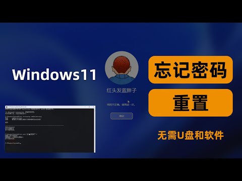 2分钟内重置遗忘的Windows 11密码，无需U盘和任何软件。Reset Forgotten Windows 1110 password without anysoftware