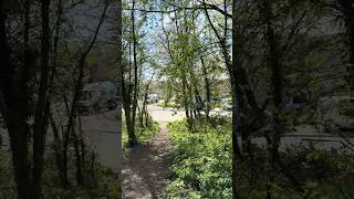 Wooded Path to Lidl, Beverley #beverley #naturalsounds #path #trees #birdsounds #april2026 #walking