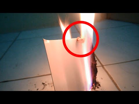 Lenyai Binatang Glow In The Dark Youtube