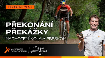 Které potraviny jsou bohaté na vlákninu?