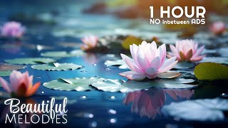 Beautiful Relax Music for Stress Relief, Peaceful Piano Music, Sleep Music, Meditation Music, Nature