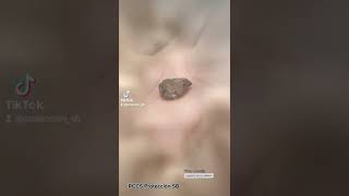 Proteccion fue parte de un mar prehistorico llamado Esquias