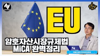 이거 중요하다! EU의 암호자산시장규제법 MiCA 완벽정리! | 투보센 Peterzen의 인사이트 캐치