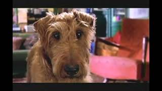 Firehouse Dog Movie Trailer 2007 - TV Spot