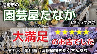 園芸屋たなかへ行ってきた　アガベも亀甲竜も塊根植物もたくさんあり大満足のお店でした