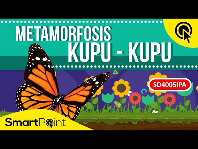 Fase dalam Metamorfosis Sempurna Kupu-kupu (SmartPoint  SD4005IPA) class=