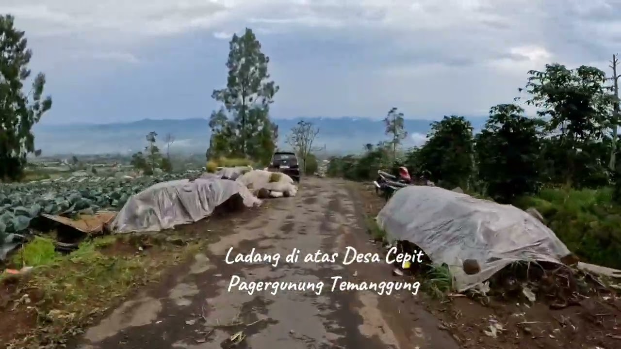 View dari atas desa cepit pagergunung temanggung