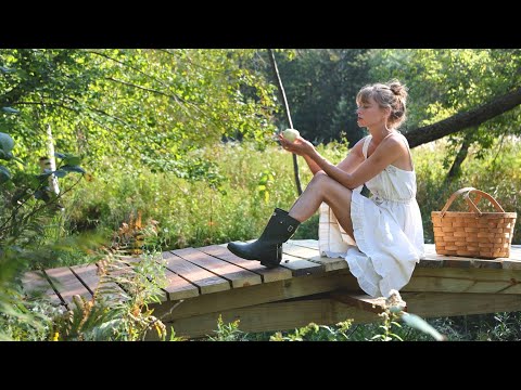 برای این از من متنفر نباشید به روز رسانی های خانه من در جنگل