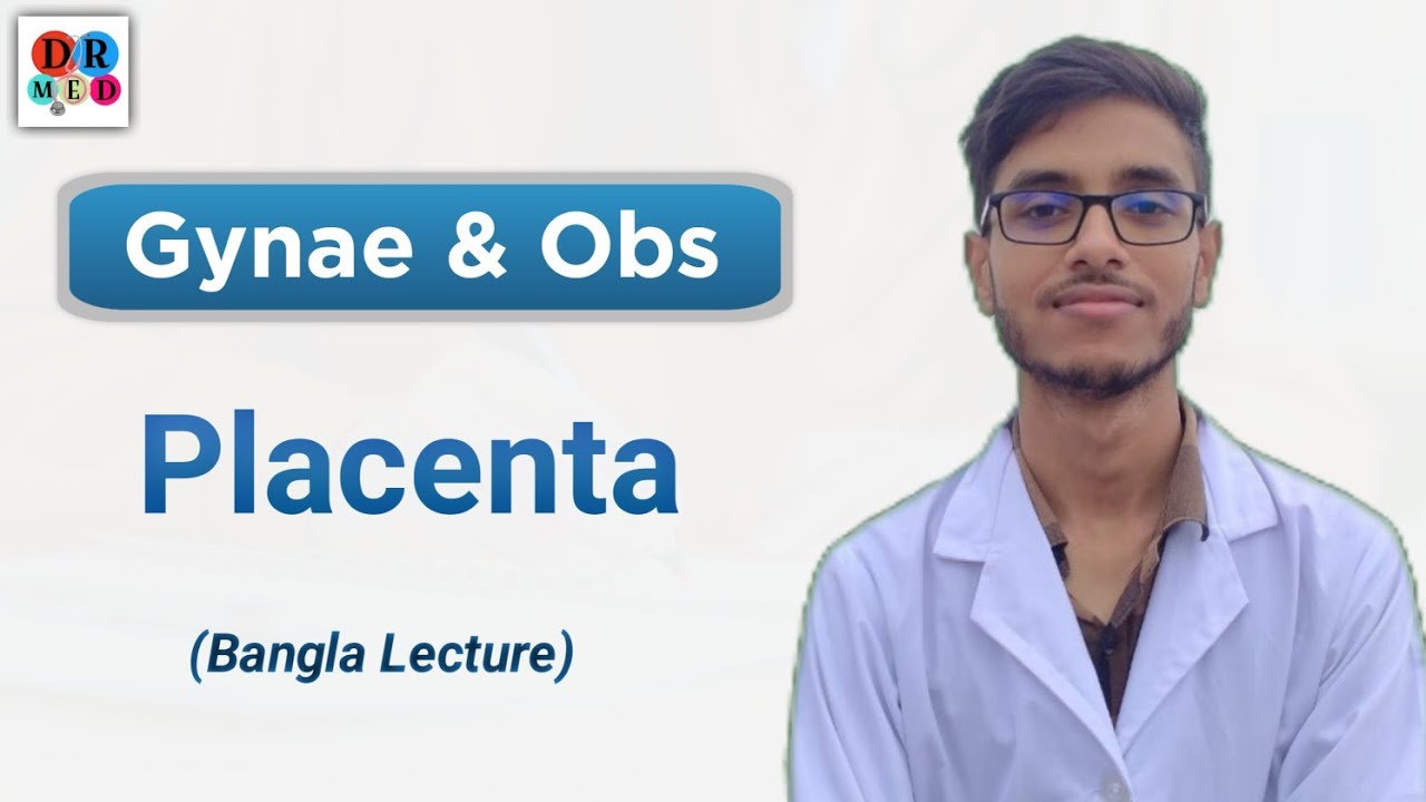 Placenta | Development and functions | Gynae and obs bangla lecture 