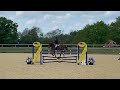 Fellside don zee dc foxhunter 30/4/22