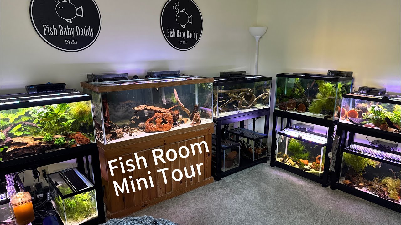 Summer Tour of the Fish Room