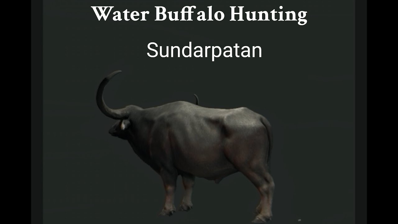 Hunting for diamond water buffalo on the new call of the wild map