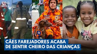 Cães Farejadores Sentem Cheiro das Crianças e Mulher Acusada Quebra o Silêncio | Alvo da Notícia