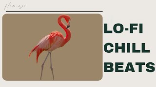 [4K] Soft Lo-fi Mix for Studying & Relaxing | flamingo. screenshot 5