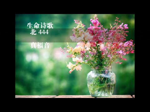 生命诗歌 北444 大592 真福音